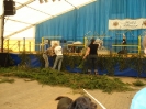 2007-08-10_sw_freitag__5