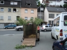 2007-07-21_sw_hammelfang__1