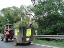 2007-07-21_sw_hammelfang__3