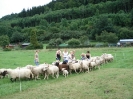 2007-07-21_sw_hammelfang__6
