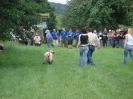 2007-07-21_sw_hammelfang__9