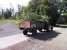 2011-08-12_sw_freitag_1