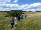 2011-07-09_sw_hammelfang_11