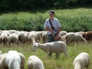 2011-07-09_sw_hammelfang_15
