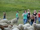 2011-07-09_sw_hammelfang_17