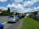 2011-07-09_sw_hammelfang_9