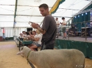 Schelder Kirmes 2015 | Donnerstag_13